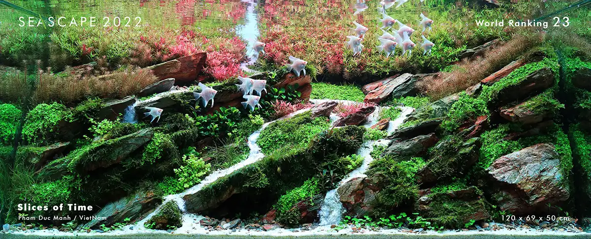 Steps progression Seascape 2022 - RANK 23 - Slices Of Time - Pham Duc Manh/Vietnam Steps progression Seascape 2022 - RANK 23 - Slices Of Time - Pham Duc Manh/Vietnam