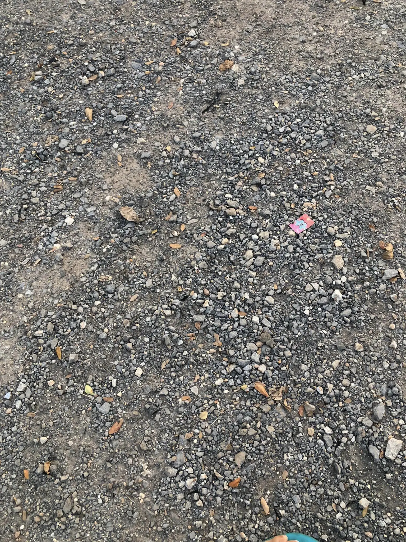 Steps progression KIAC 2022 Rank 11 - Paradiso - Eakthanat Isarathikul / Thailand