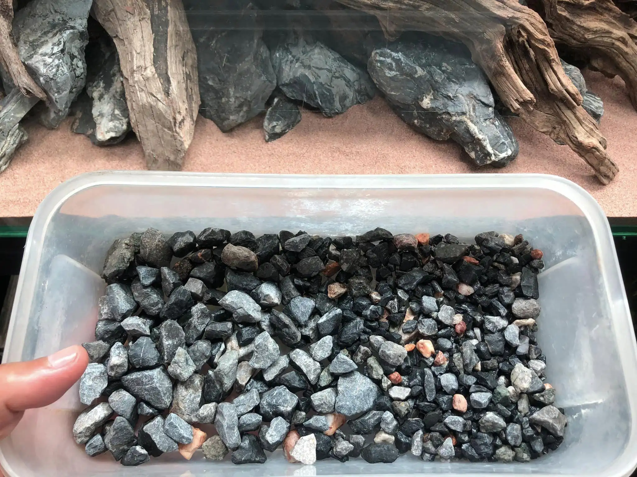 Steps progression KIAC 2022 Rank 11 - Paradiso - Eakthanat Isarathikul / Thailand