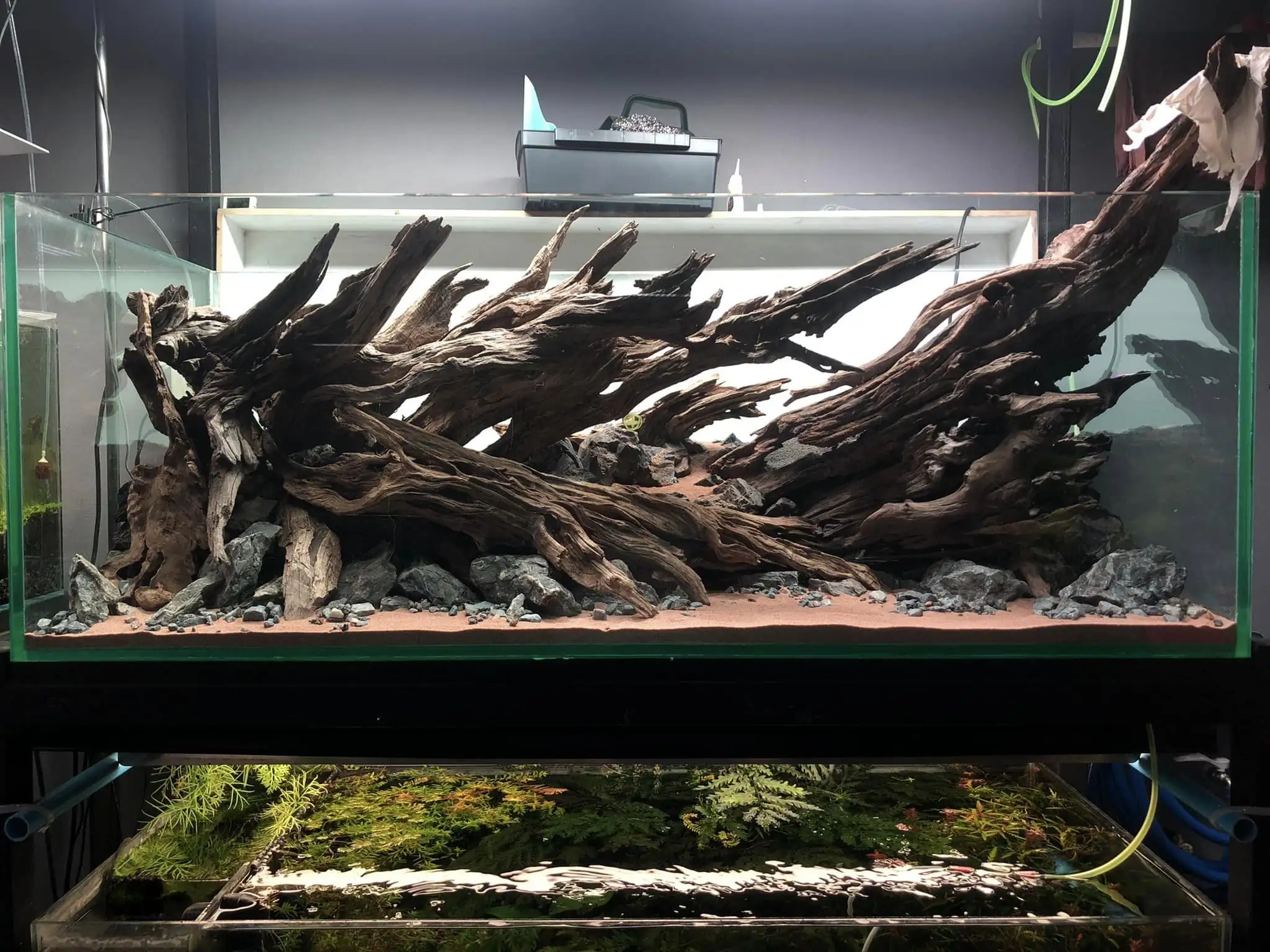 Steps progression KIAC 2022 Rank 11 - Paradiso - Eakthanat Isarathikul / Thailand