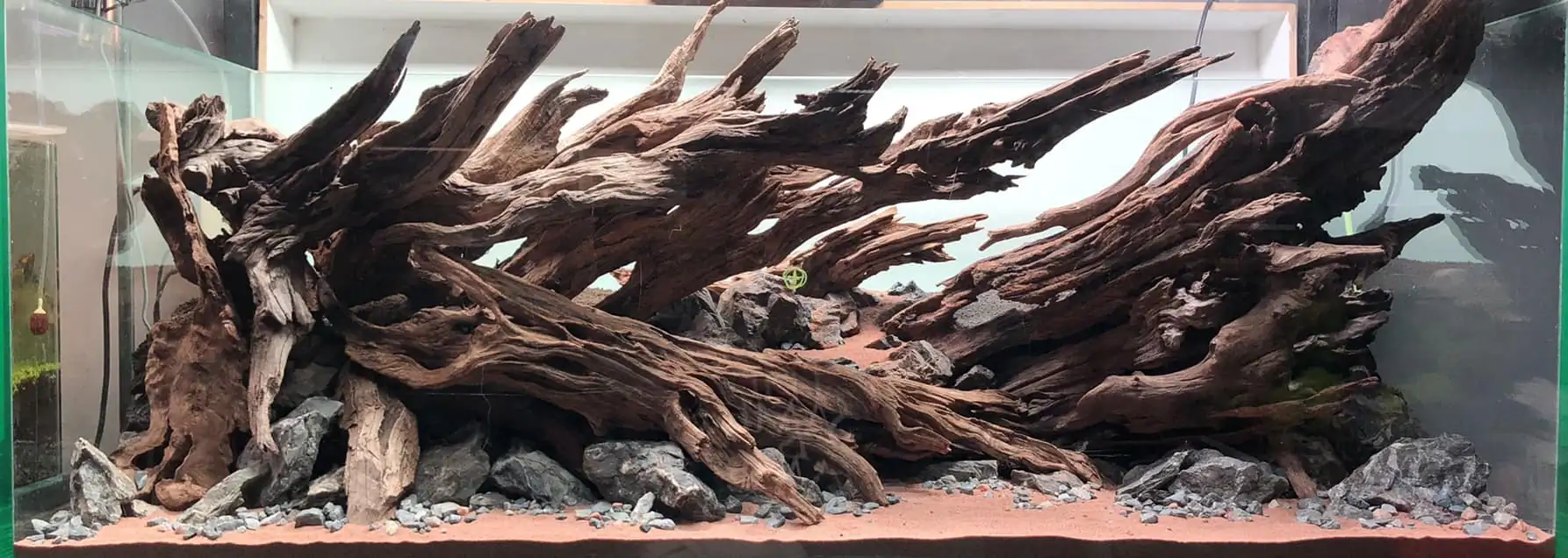 Steps progression KIAC 2022 Rank 11 - Paradiso - Eakthanat Isarathikul / Thailand