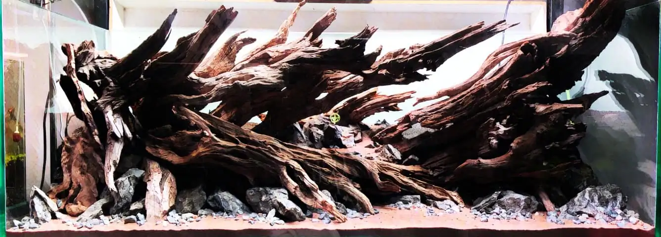 Steps progression KIAC 2022 Rank 11 - Paradiso - Eakthanat Isarathikul / Thailand