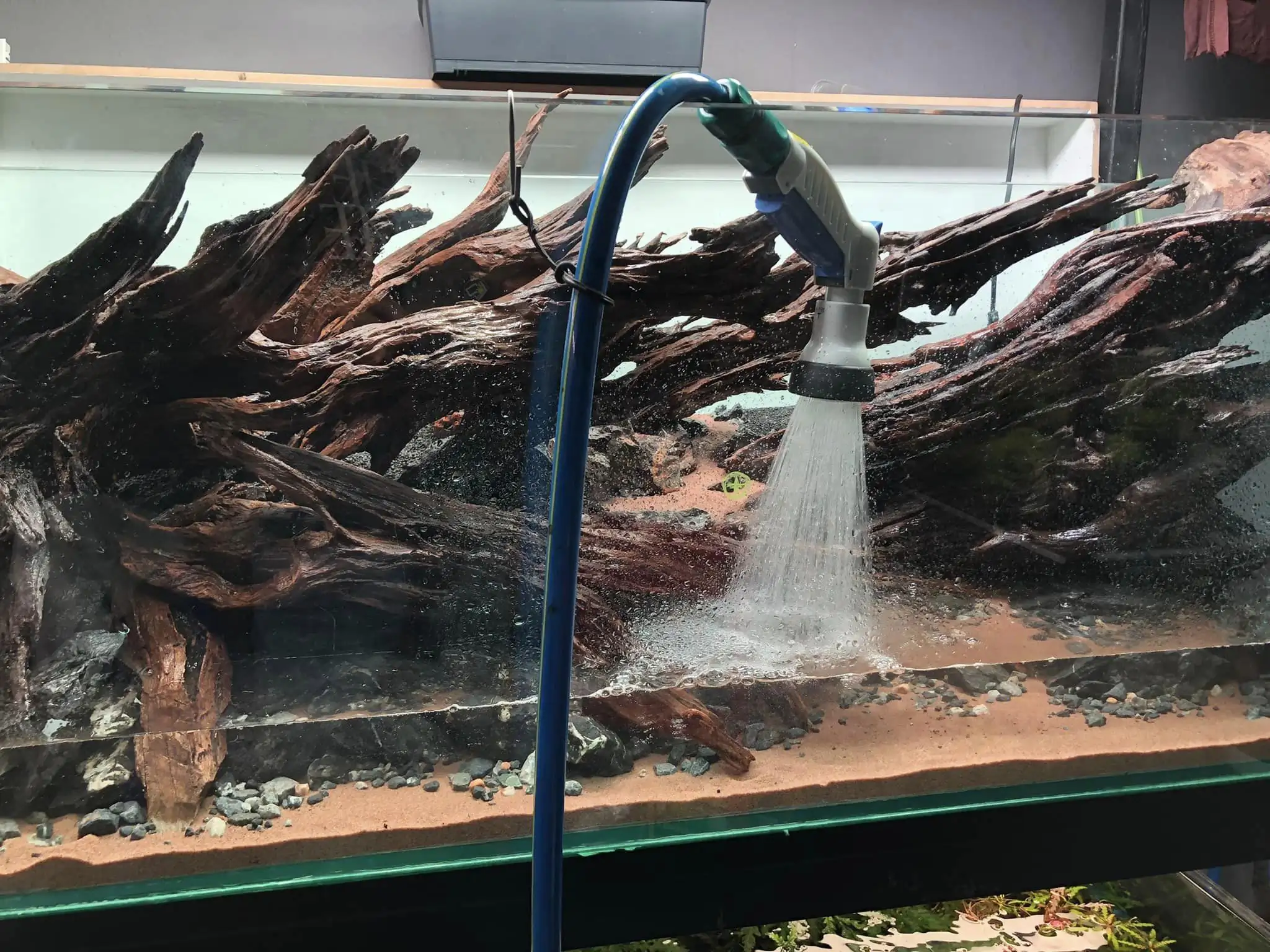 Steps progression KIAC 2022 Rank 11 - Paradiso - Eakthanat Isarathikul / Thailand