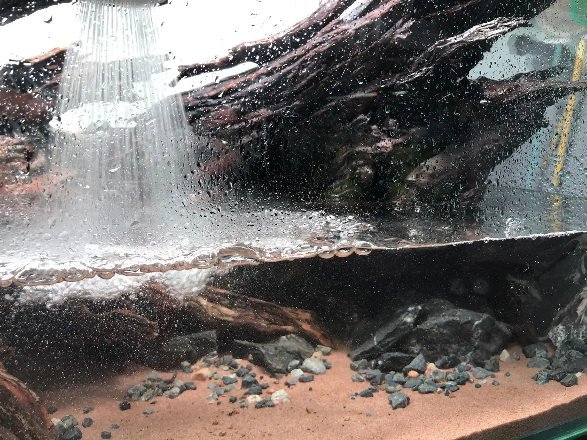 Steps progression KIAC 2022 Rank 11 - Paradiso - Eakthanat Isarathikul / Thailand