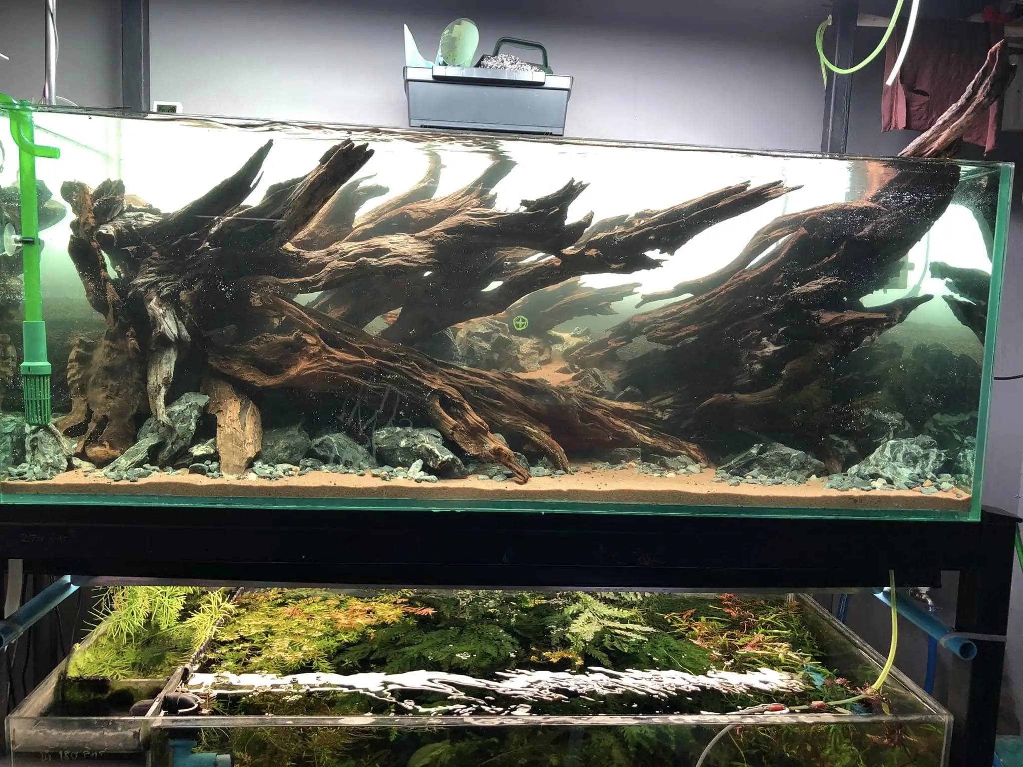 Steps progression KIAC 2022 Rank 11 - Paradiso - Eakthanat Isarathikul / Thailand