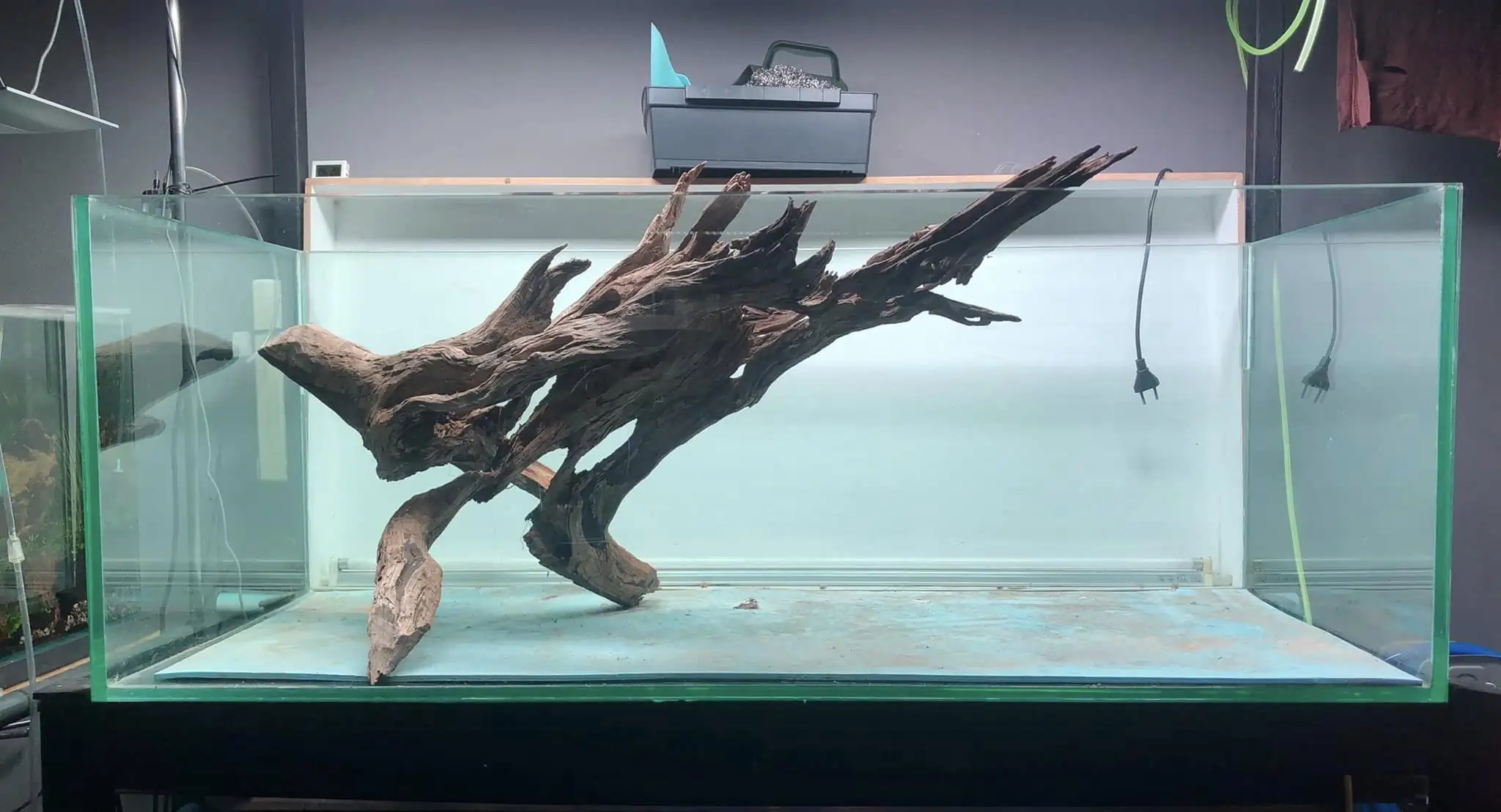 Steps progression KIAC 2022 Rank 11 - Paradiso - Eakthanat Isarathikul / Thailand