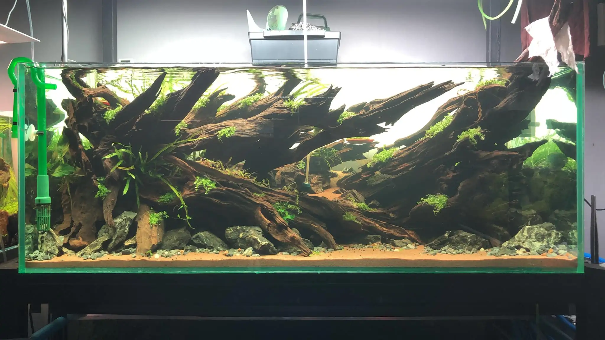 Steps progression KIAC 2022 Rank 11 - Paradiso - Eakthanat Isarathikul / Thailand