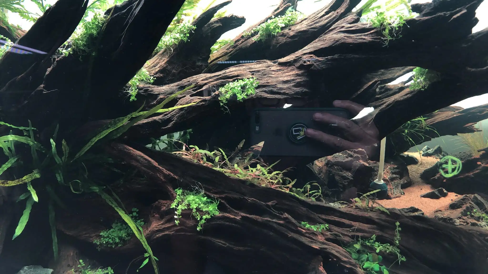 Steps progression KIAC 2022 Rank 11 - Paradiso - Eakthanat Isarathikul / Thailand