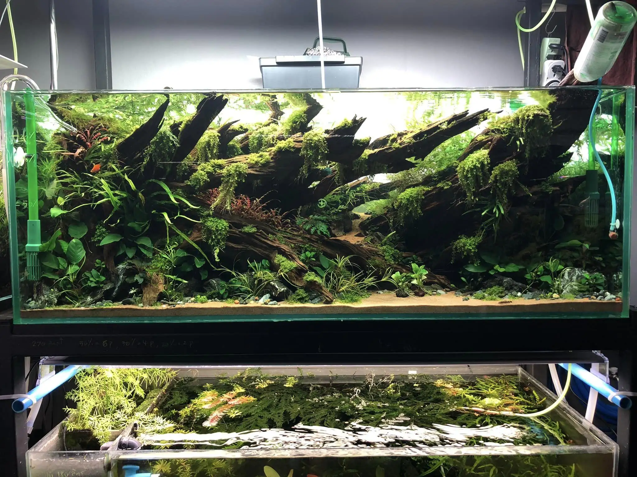 Steps progression KIAC 2022 Rank 11 - Paradiso - Eakthanat Isarathikul / Thailand Steps progression KIAC 2022 Rank 11 - Paradiso - Eakthanat Isarathikul / Thailand