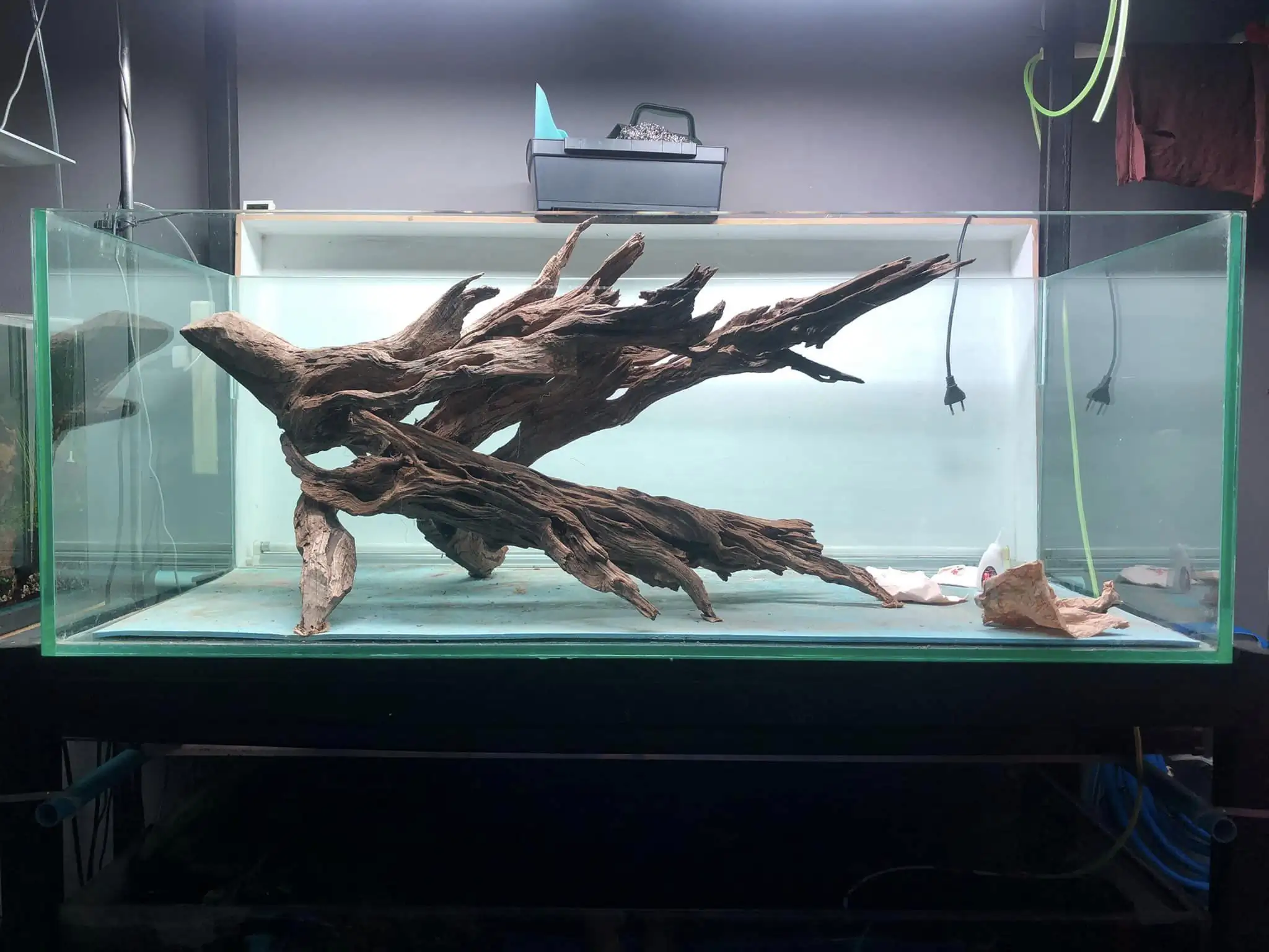 Steps progression KIAC 2022 Rank 11 - Paradiso - Eakthanat Isarathikul / Thailand