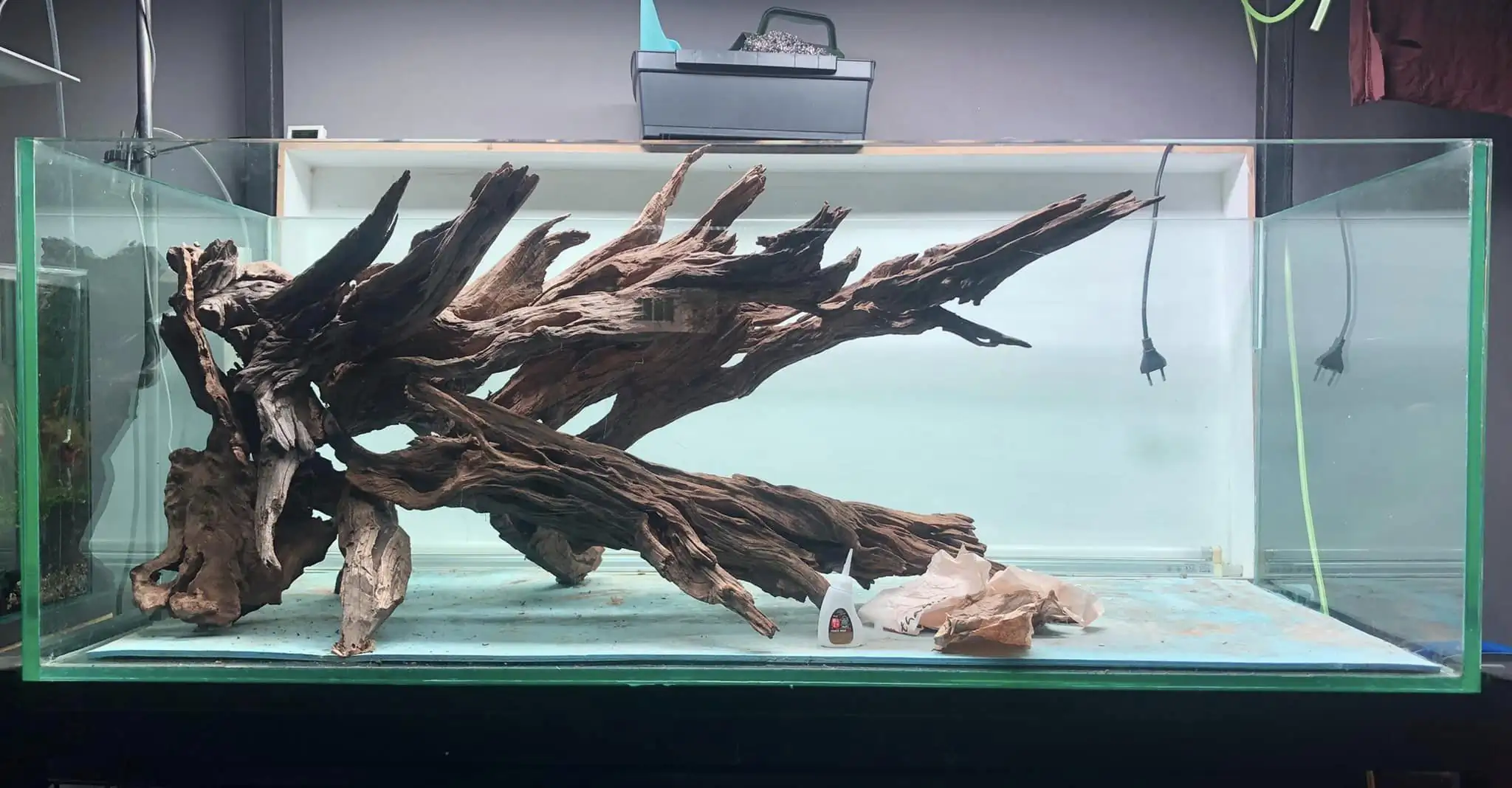 Steps progression KIAC 2022 Rank 11 - Paradiso - Eakthanat Isarathikul / Thailand