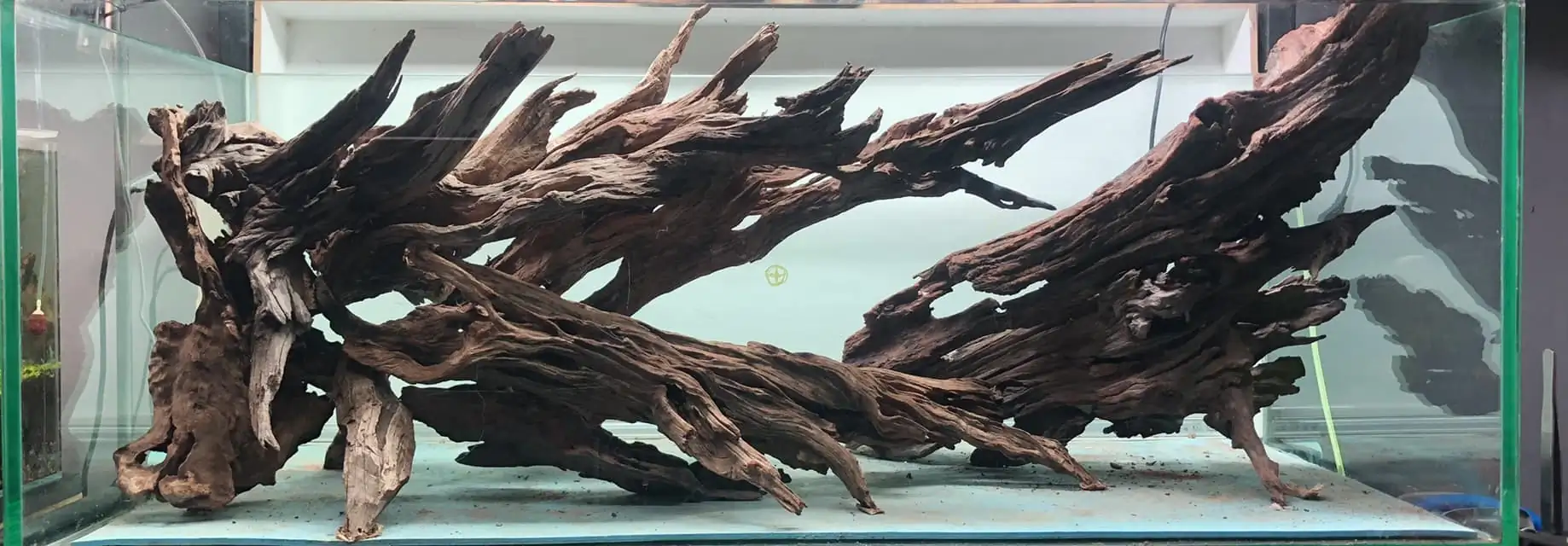 Steps progression KIAC 2022 Rank 11 - Paradiso - Eakthanat Isarathikul / Thailand