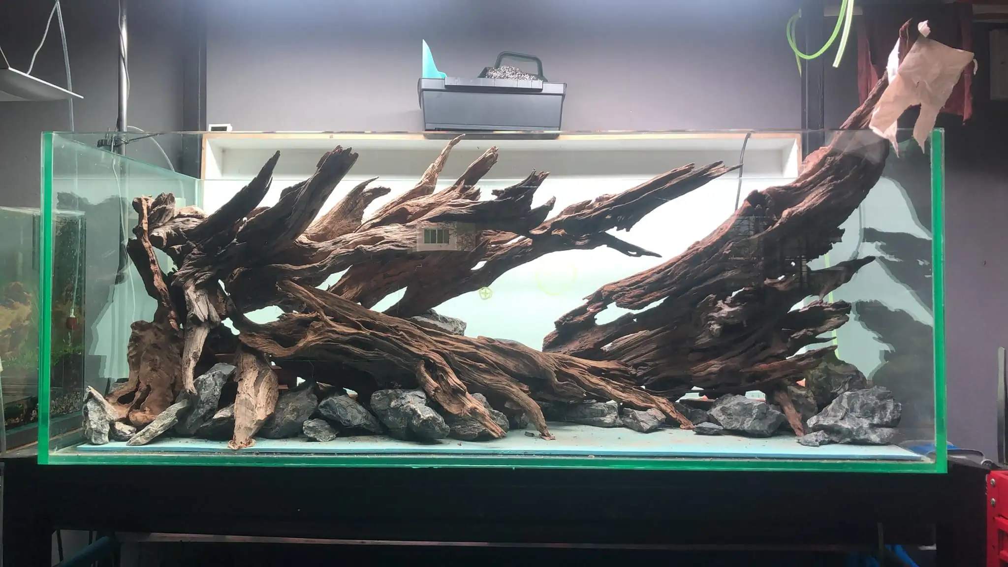 Steps progression KIAC 2022 Rank 11 - Paradiso - Eakthanat Isarathikul / Thailand