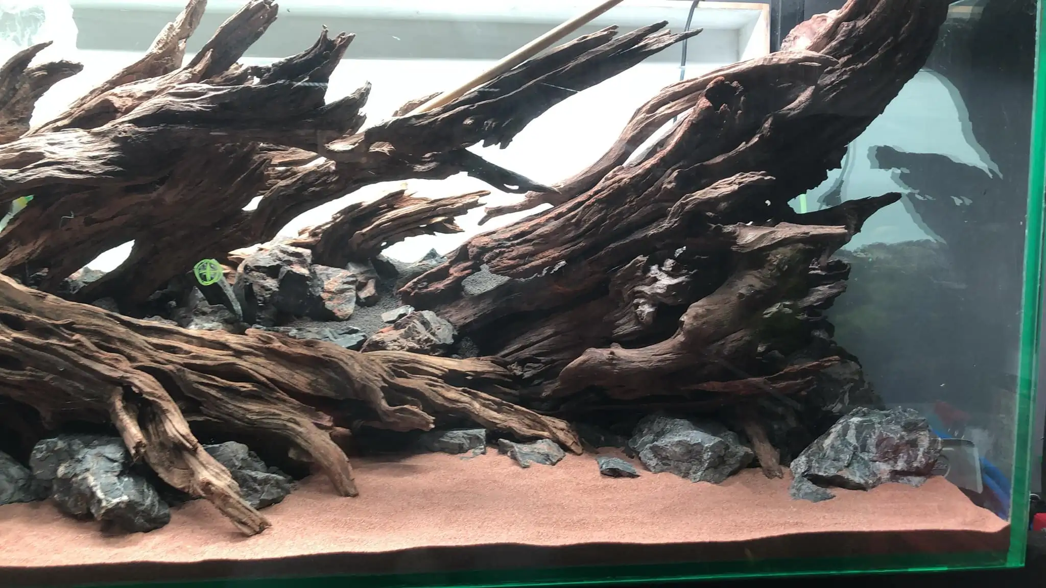 Steps progression KIAC 2022 Rank 11 - Paradiso - Eakthanat Isarathikul / Thailand