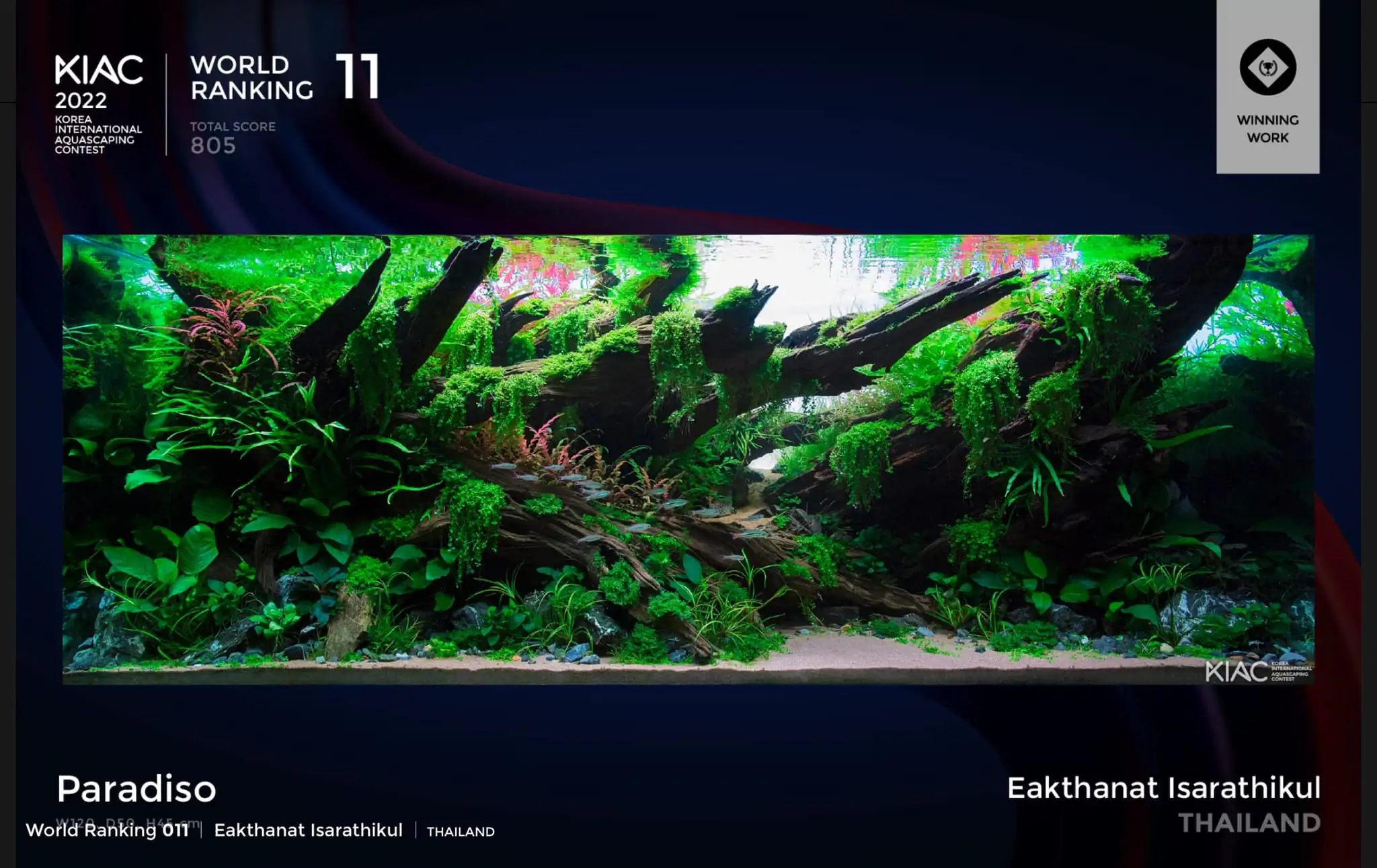 Steps progression KIAC 2022 Rank 11 - Paradiso - Eakthanat Isarathikul / Thailand