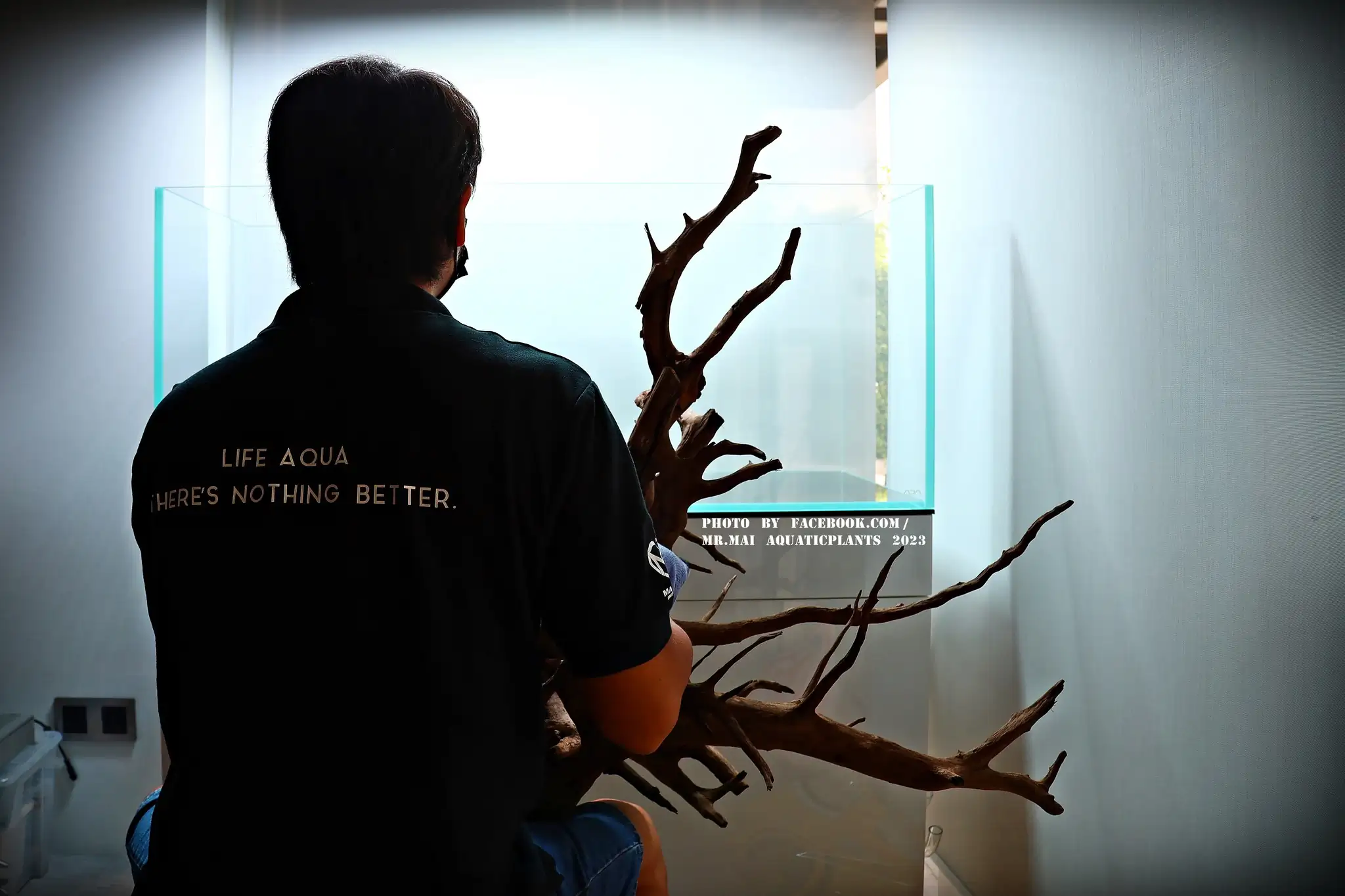 Aquascaping steps - Nature Aquarium - Mr Mai Aquaticplants / Thailand