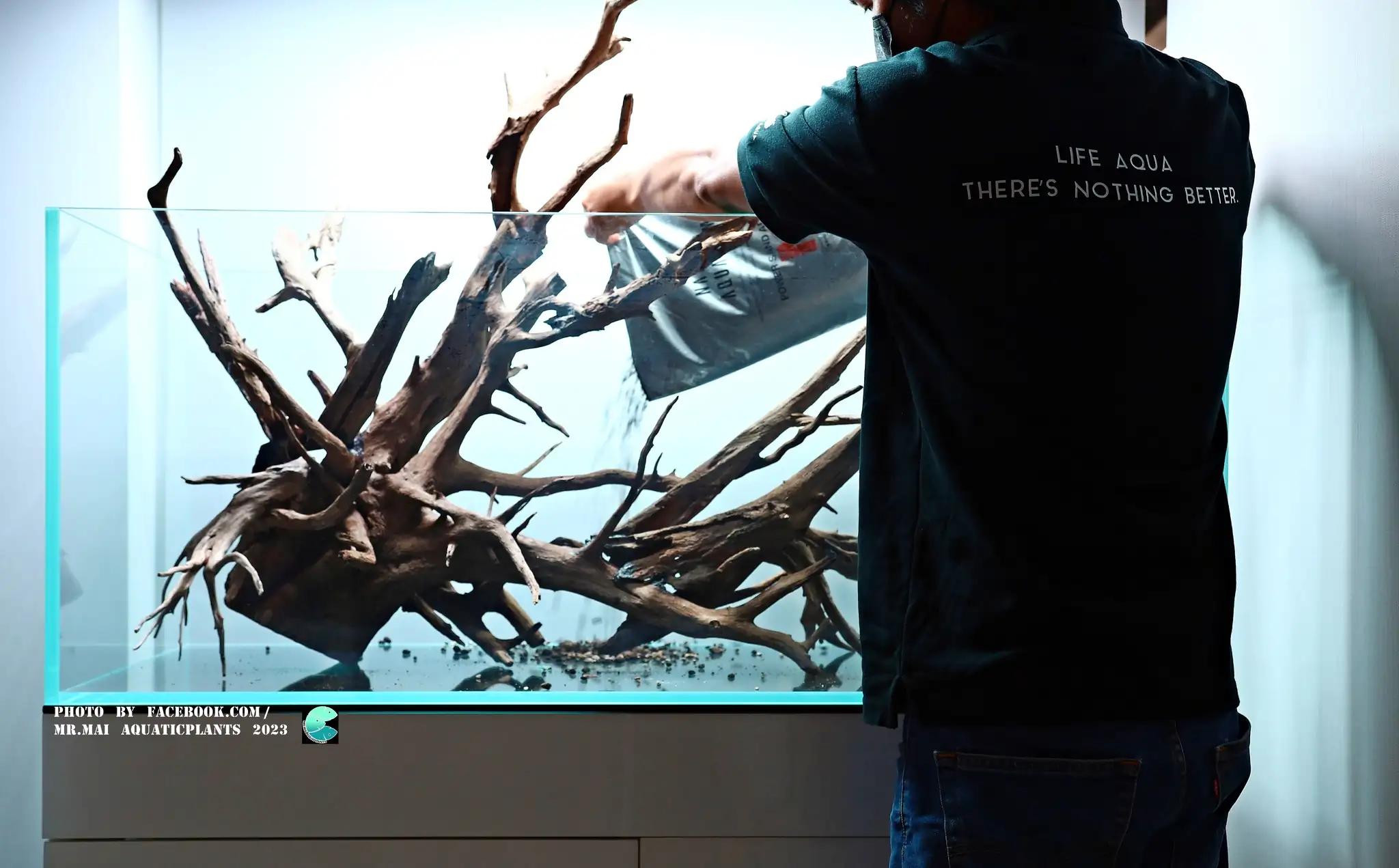 Aquascaping steps - Nature Aquarium - Mr Mai Aquaticplants / Thailand