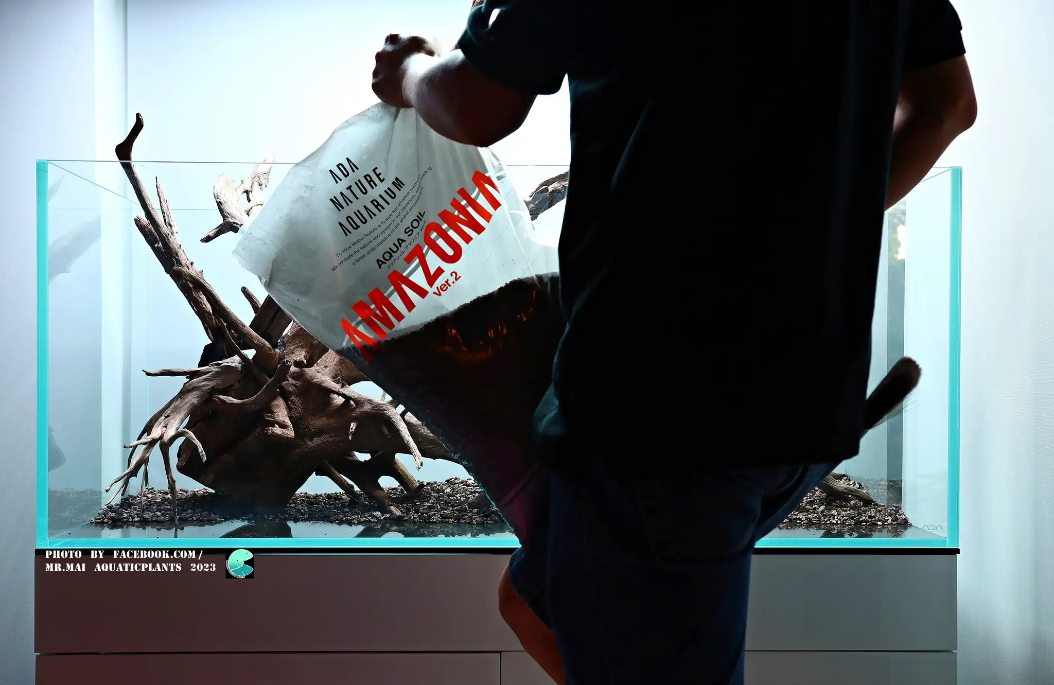 Aquascaping steps - Nature Aquarium - Mr Mai Aquaticplants / Thailand