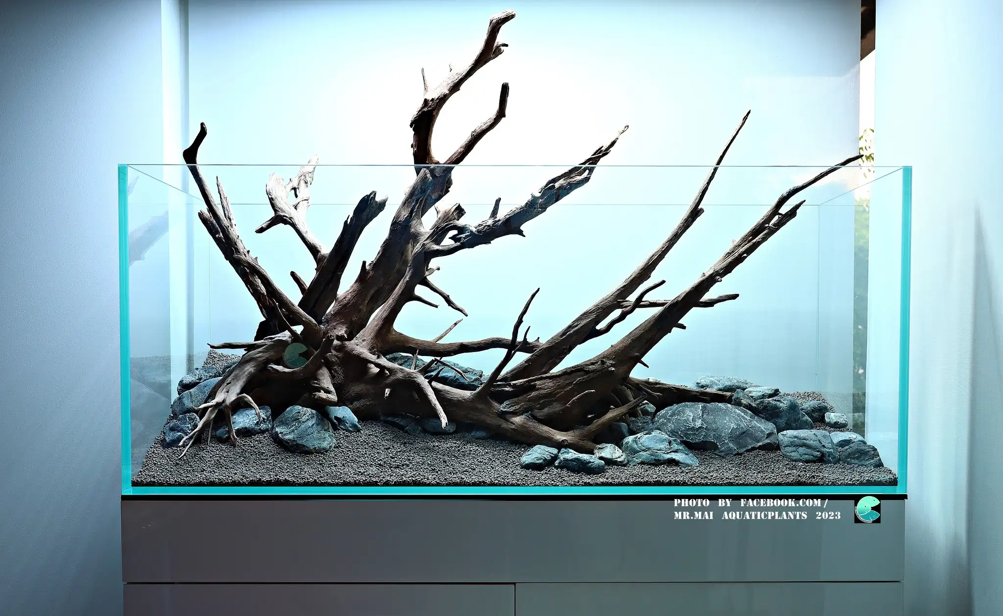 Aquascaping steps - Nature Aquarium - Mr Mai Aquaticplants / Thailand
