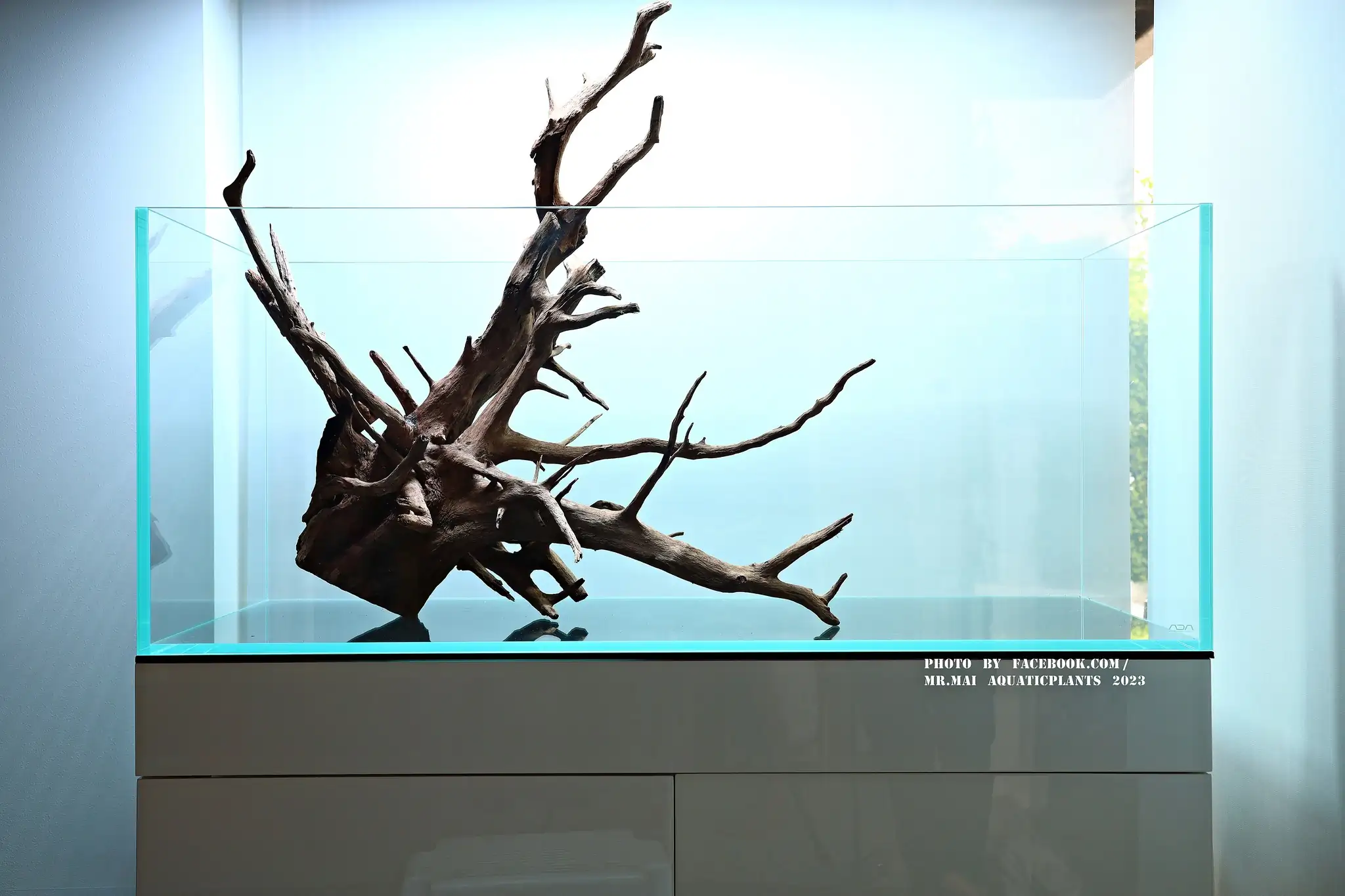 Aquascaping steps - Nature Aquarium - Mr Mai Aquaticplants / Thailand