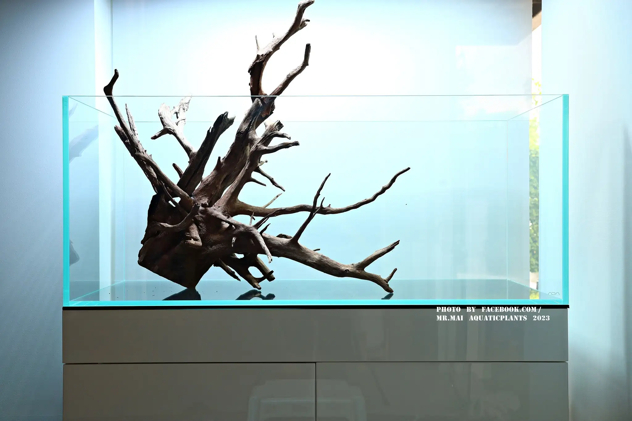 Aquascaping steps - Nature Aquarium - Mr Mai Aquaticplants / Thailand