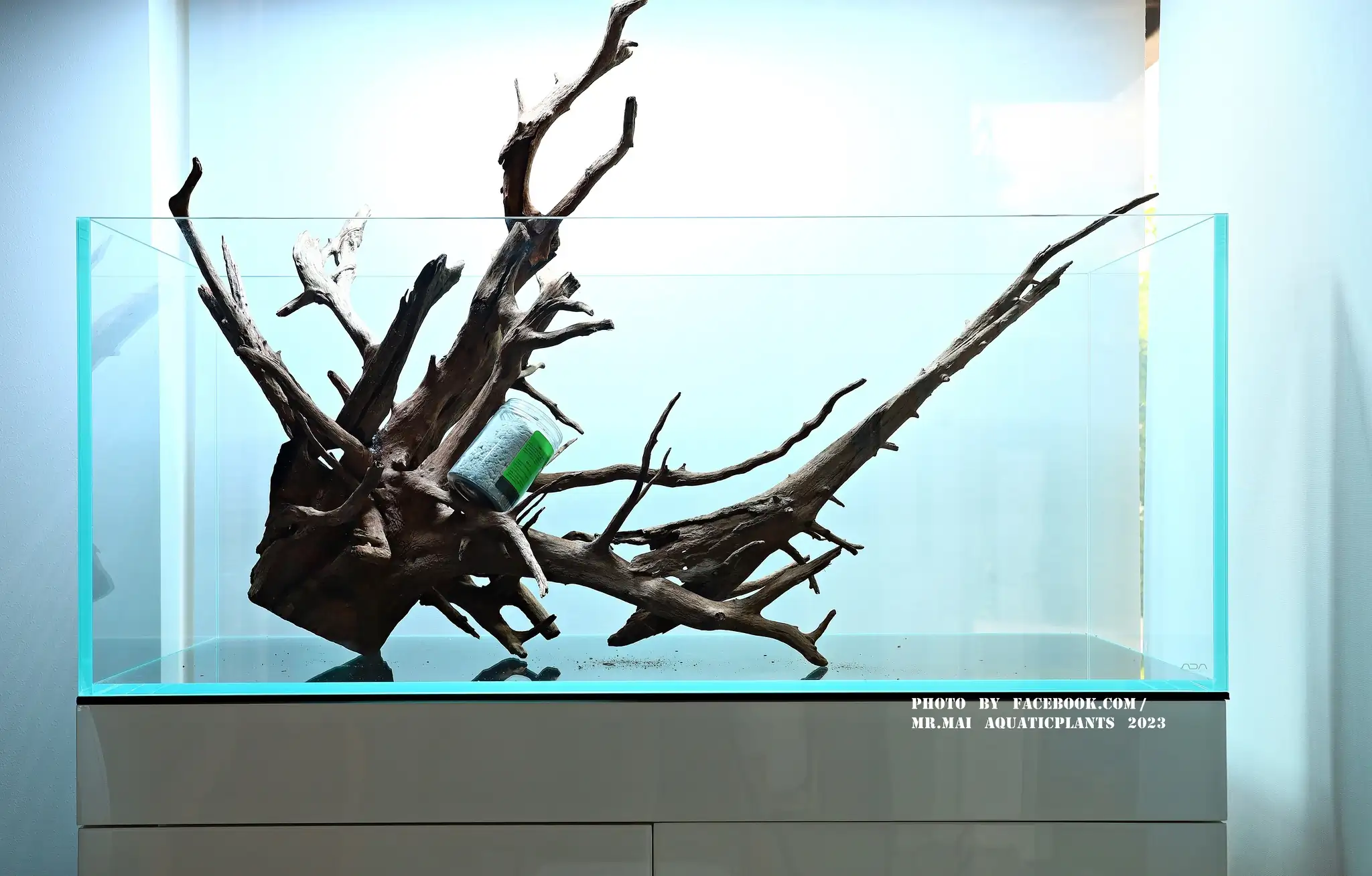 Aquascaping steps - Nature Aquarium - Mr Mai Aquaticplants / Thailand