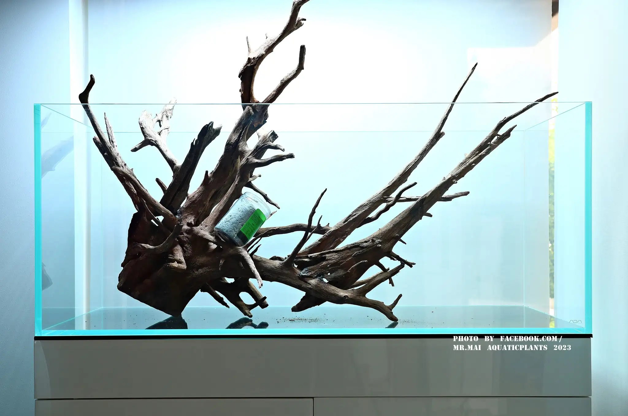 Aquascaping steps - Nature Aquarium - Mr Mai Aquaticplants / Thailand