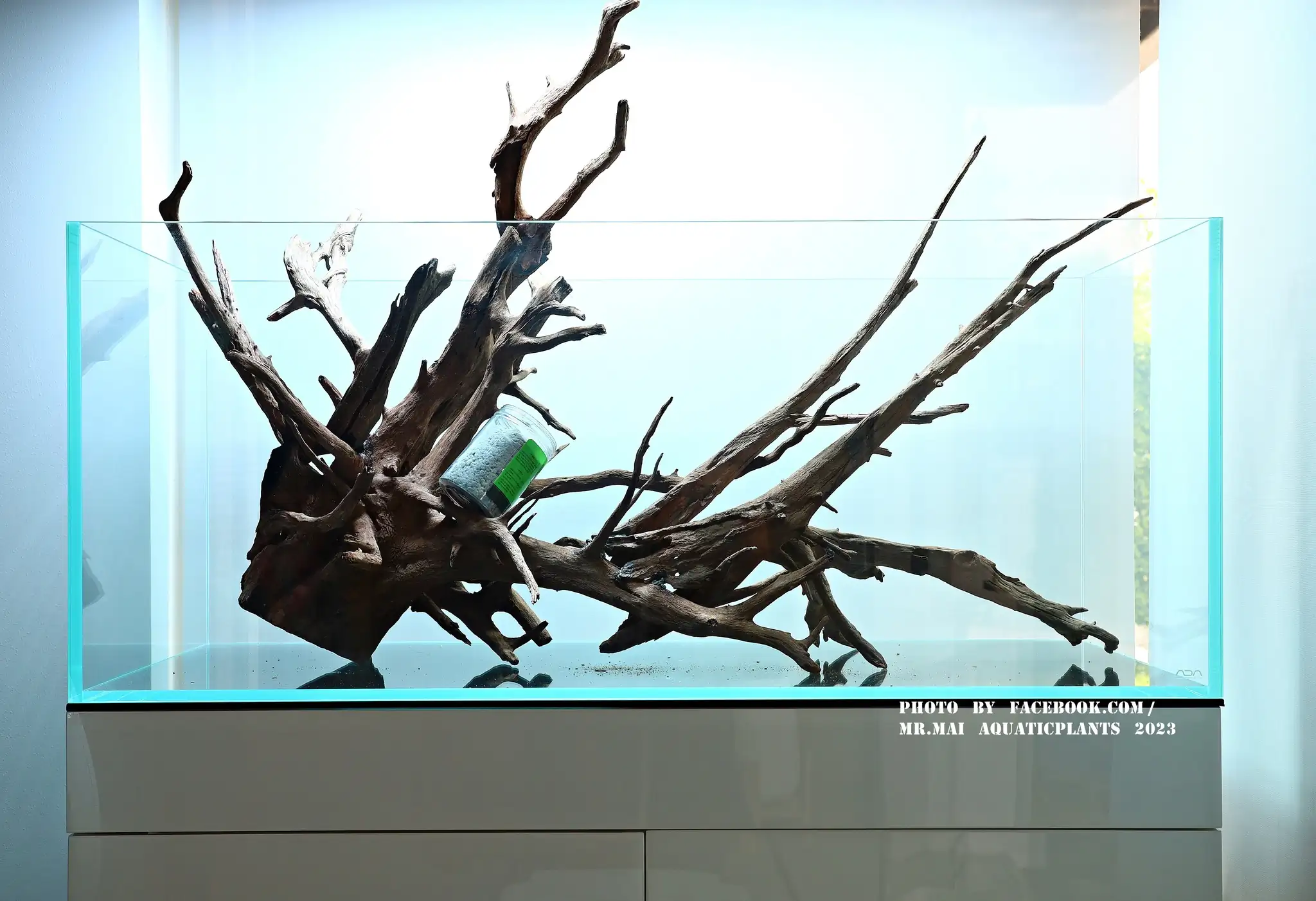 Aquascaping steps - Nature Aquarium - Mr Mai Aquaticplants / Thailand
