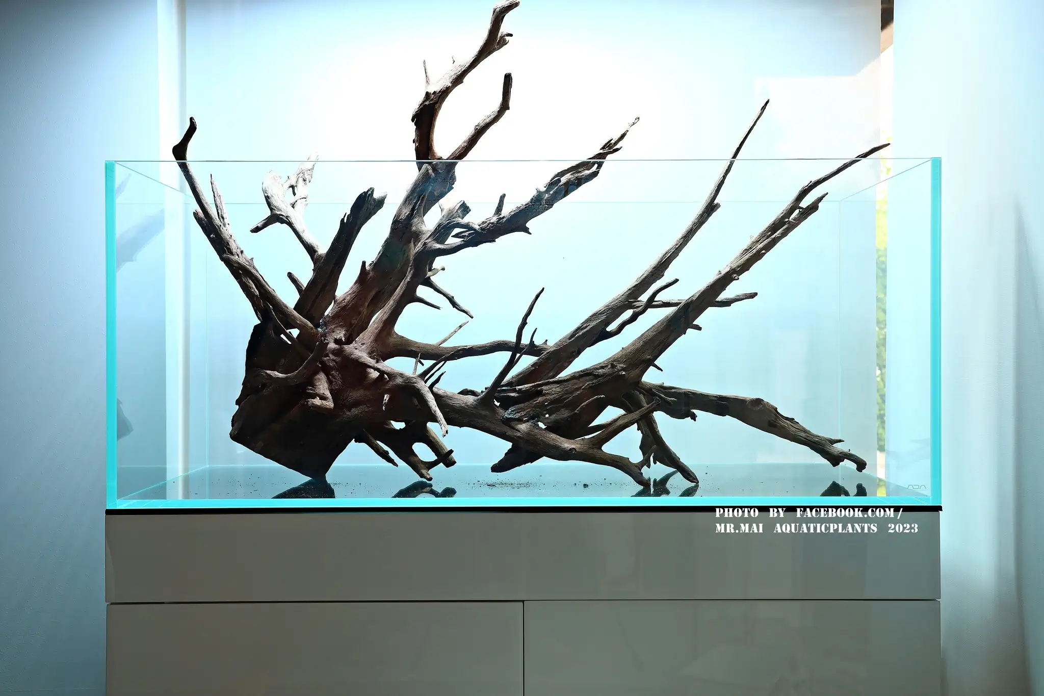 Aquascaping steps - Nature Aquarium - Mr Mai Aquaticplants / Thailand