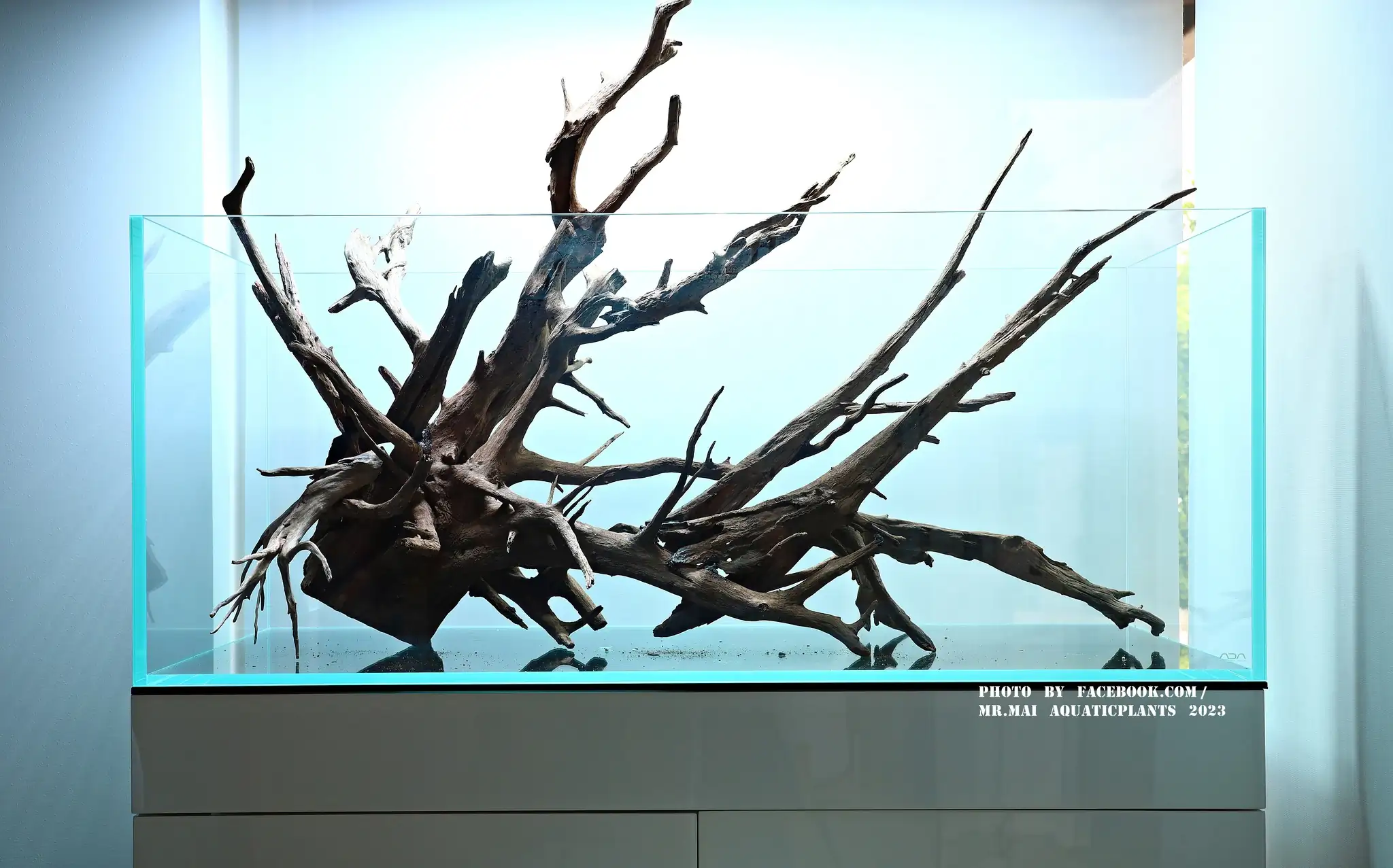 Aquascaping steps - Nature Aquarium - Mr Mai Aquaticplants / Thailand