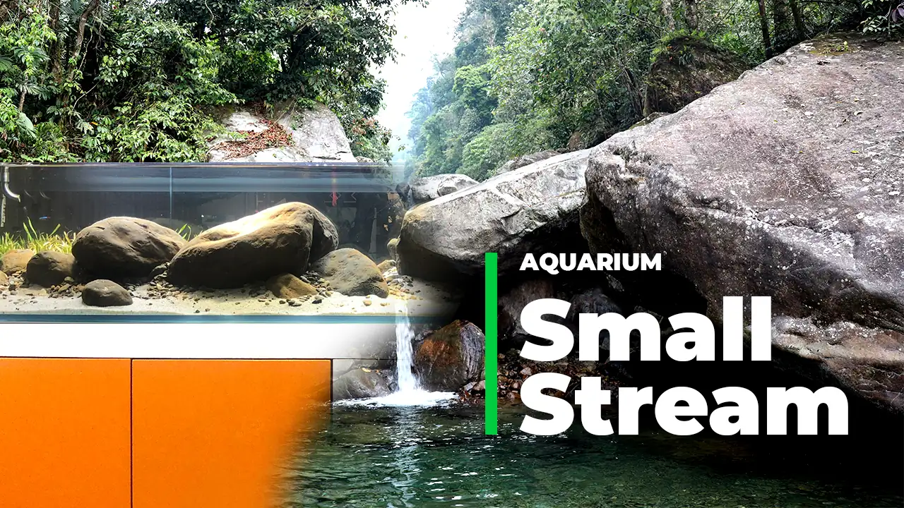#20 Small stream in pro office - step by step from nature idea to Aquarium shallow tank