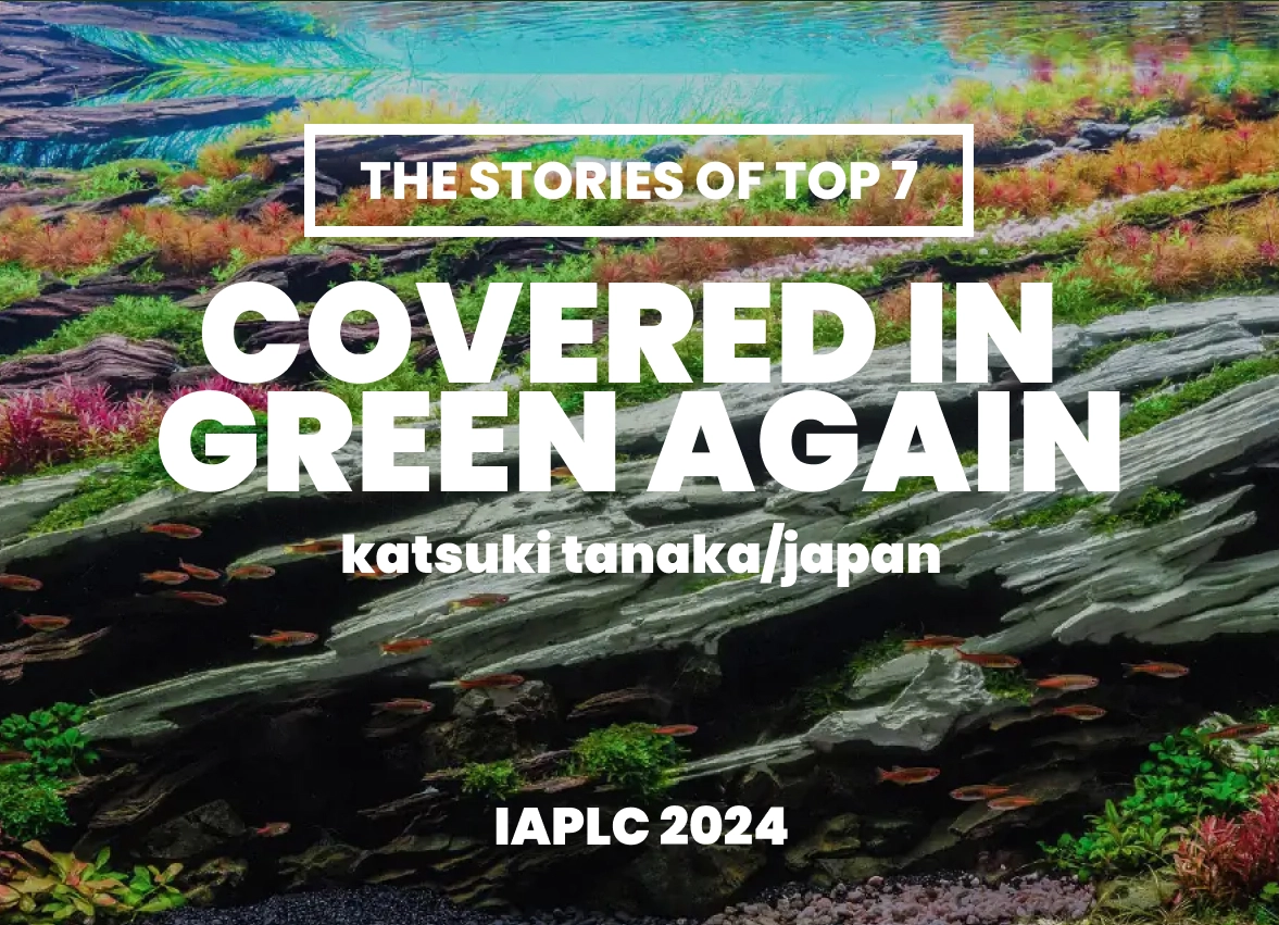 [TheStoriesOfTop7] Covered in green again - Katsuki Tanaka/Japan - IAPLC 2024
