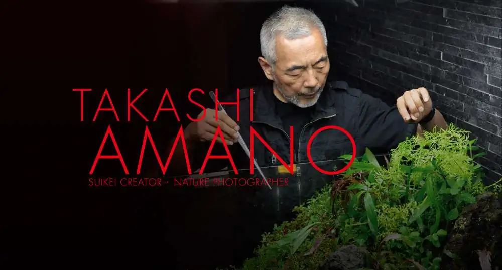Amano san's history and aquarium tanks