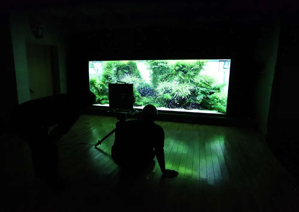 Amano san's history and aquarium tanks