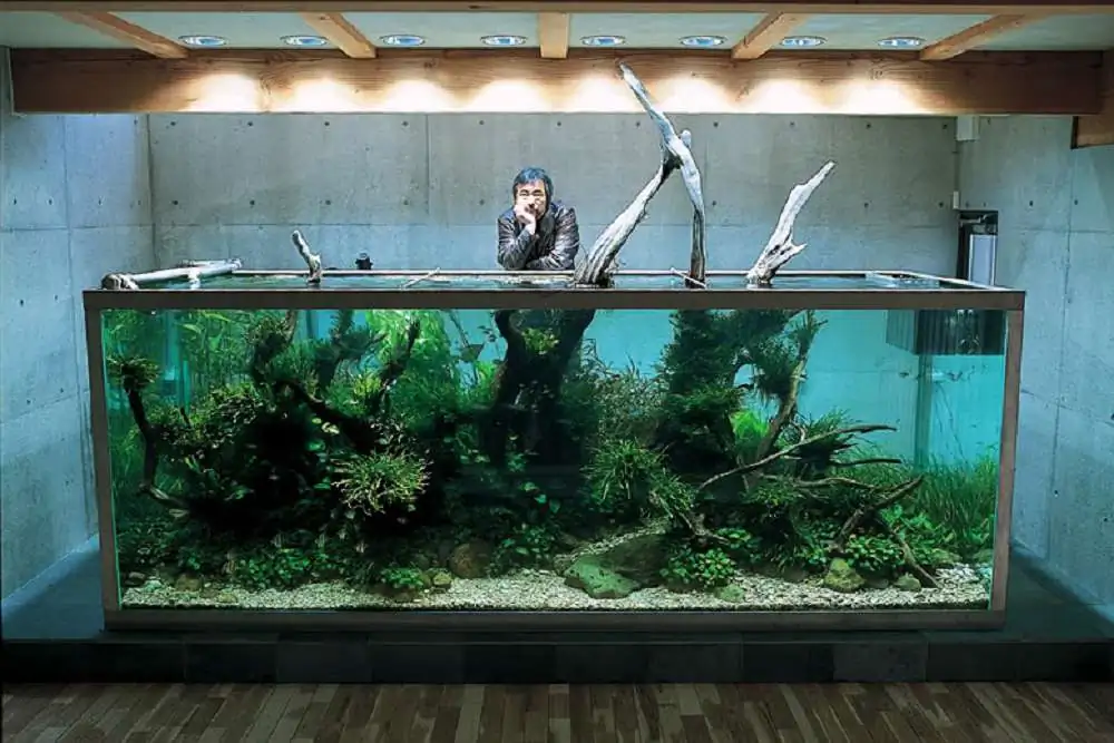 Amano san's history and aquarium tanks