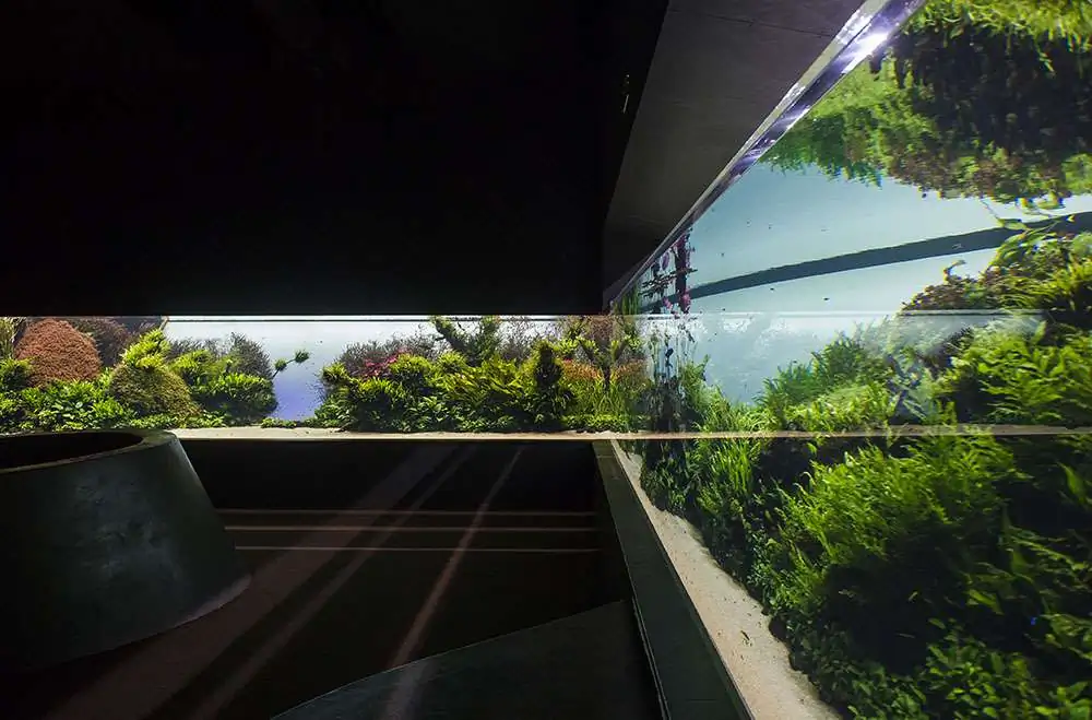 Amano san's history and aquarium tanks