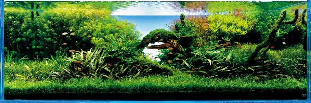 Amano san's history and aquarium tanks