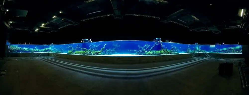 Amano san's history and aquarium tanks