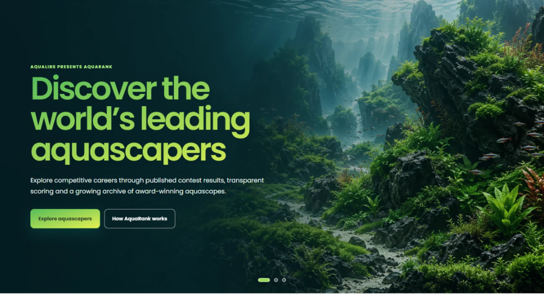 Introducing AquaRank: A Transparent World Ranking for Aquascapers