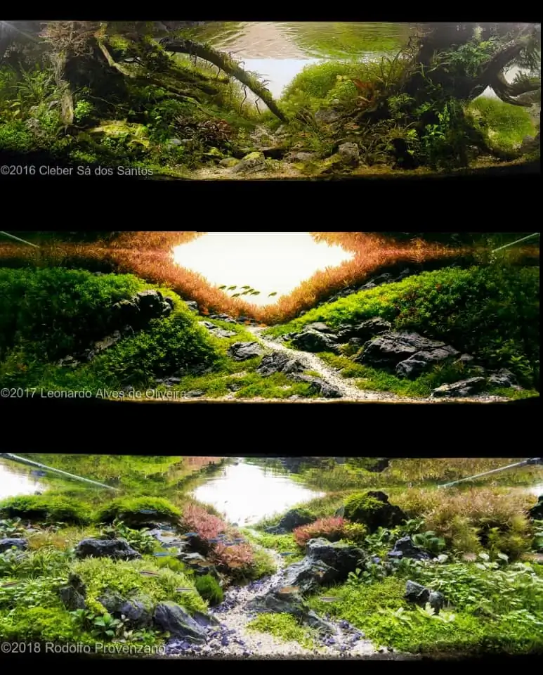 Introduction about Brazil Aquascaping Introduction about Brazil Aquascaping