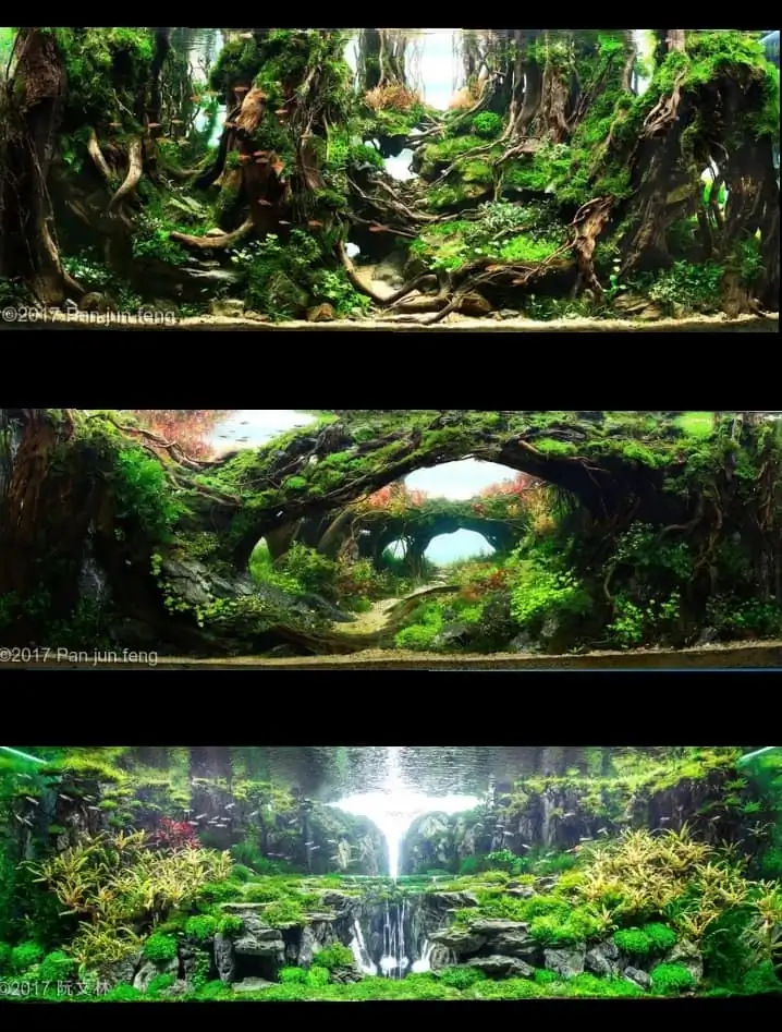 Introduction about China Aquascaping Introduction about China Aquascaping