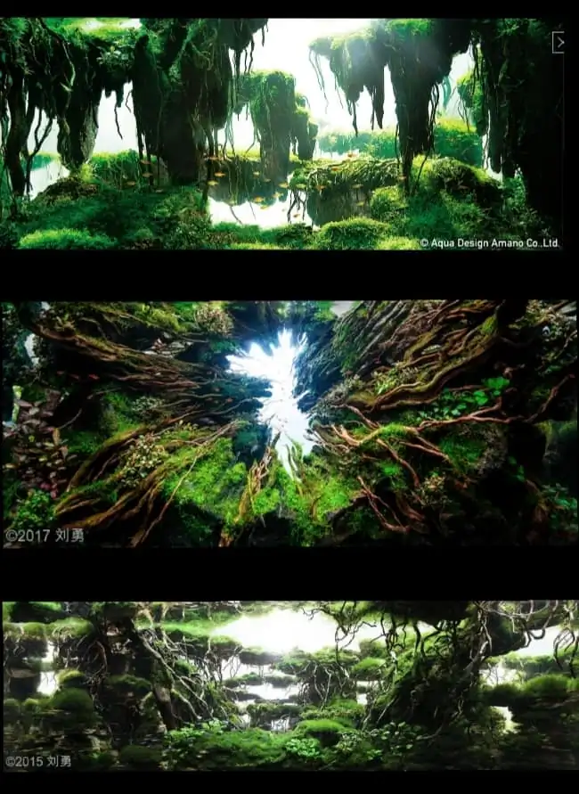 Introduction about China Aquascaping Introduction about China Aquascaping