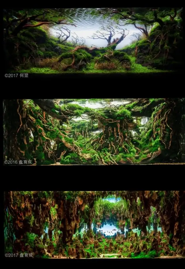 Introduction about China Aquascaping Introduction about China Aquascaping