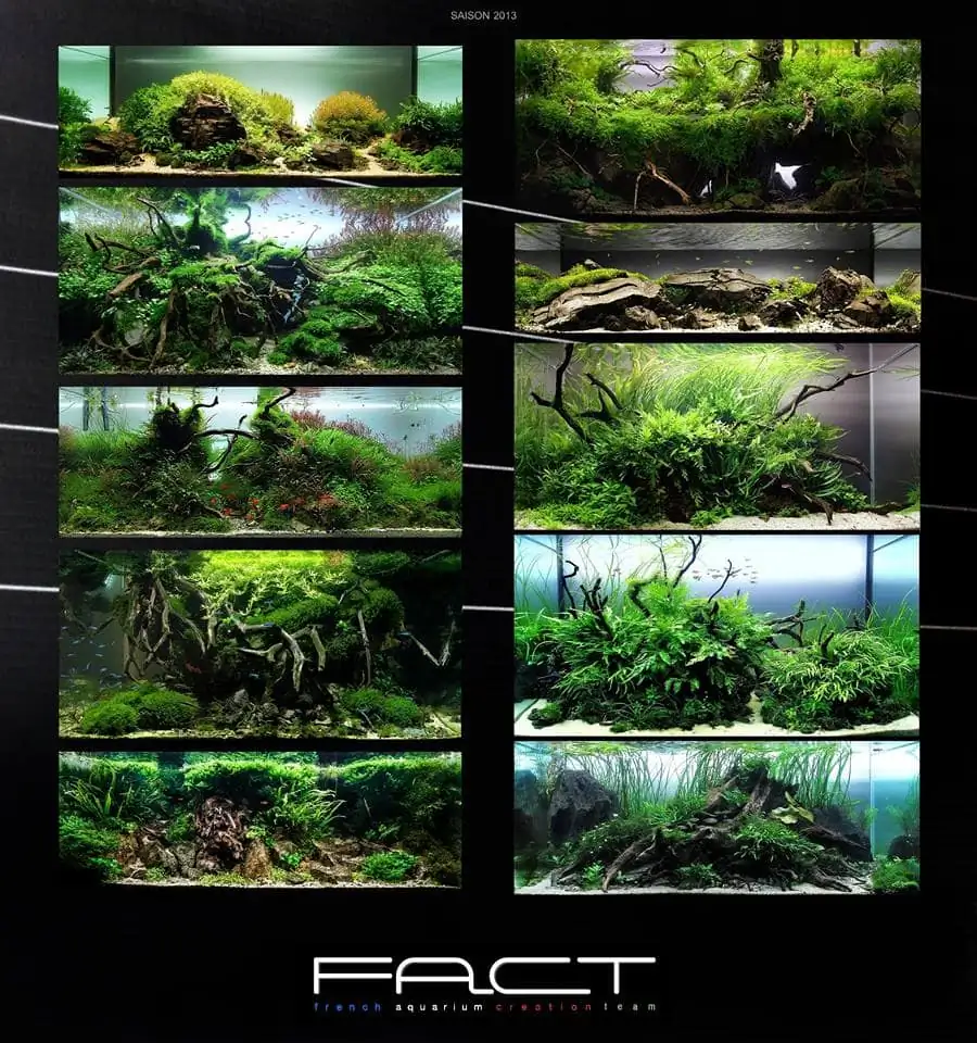 Introduction about France Aquascaping