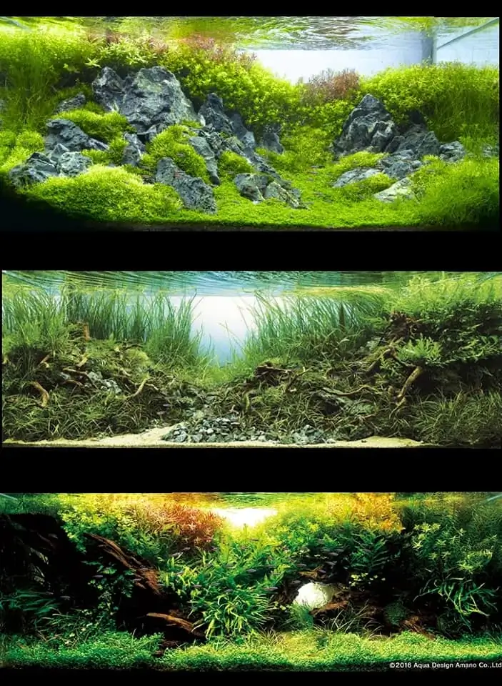 Introduction about Japan Aquascaping Introduction about Japan Aquascaping