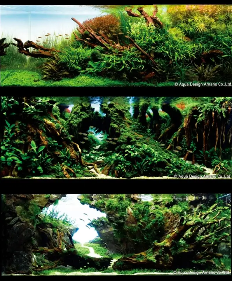 Introduction about Japan Aquascaping Introduction about Japan Aquascaping