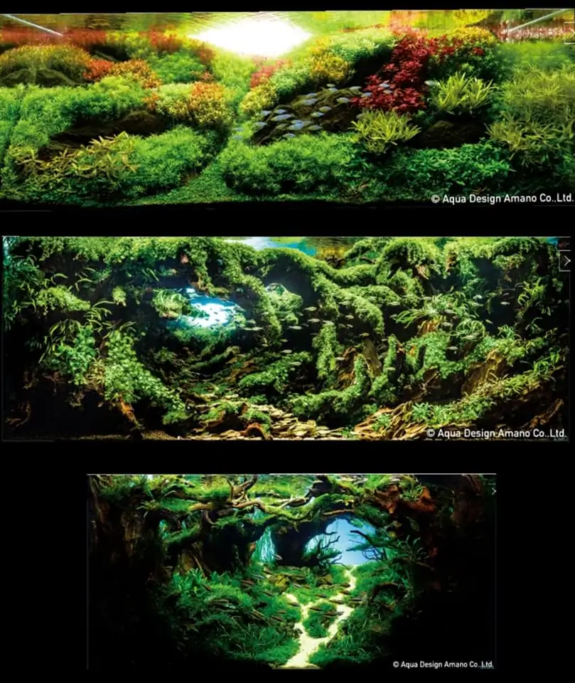 Introduction about Japan Aquascaping Introduction about Japan Aquascaping