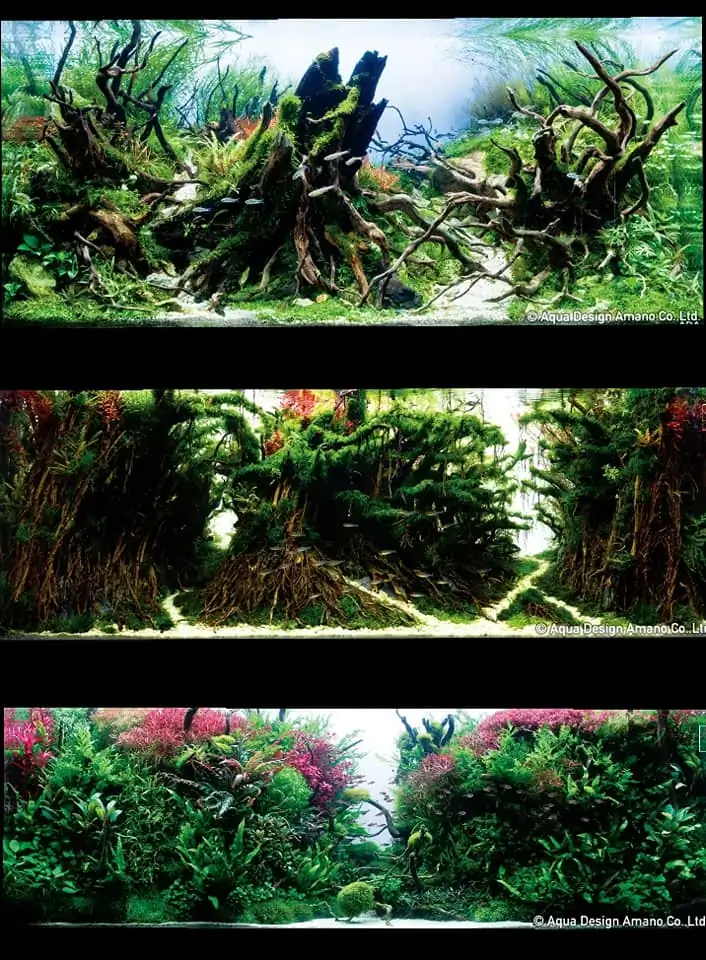 Introduction about Japan Aquascaping Introduction about Japan Aquascaping