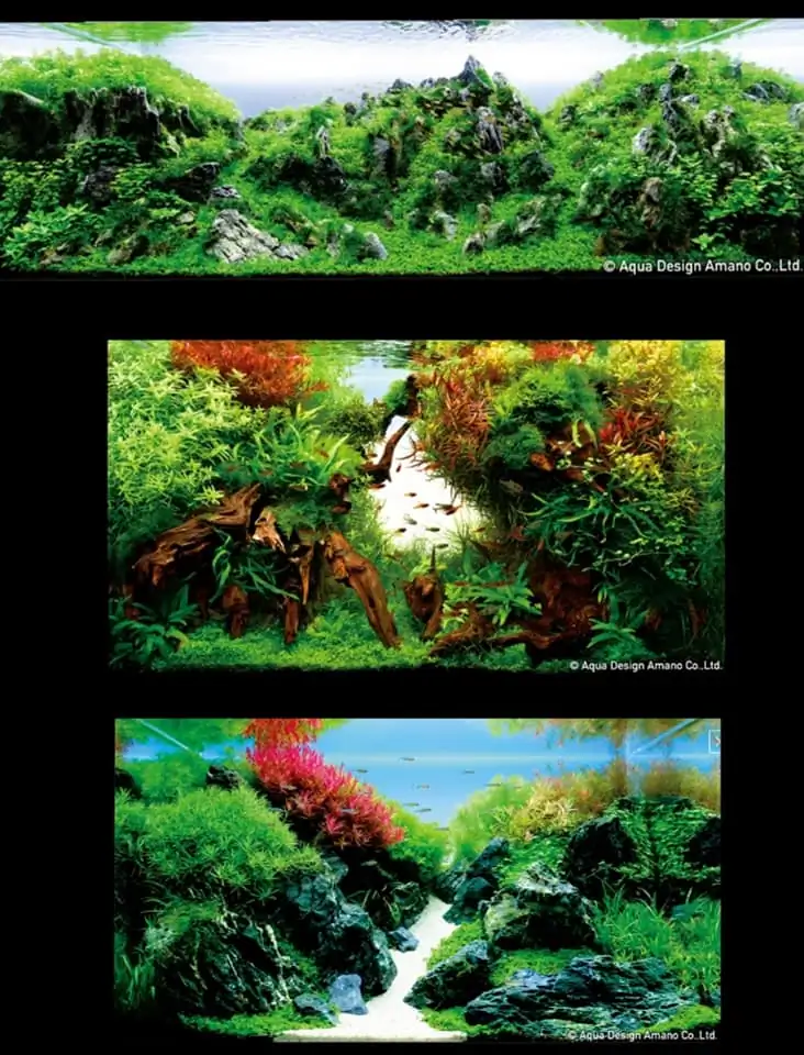Introduction about Japan Aquascaping Introduction about Japan Aquascaping