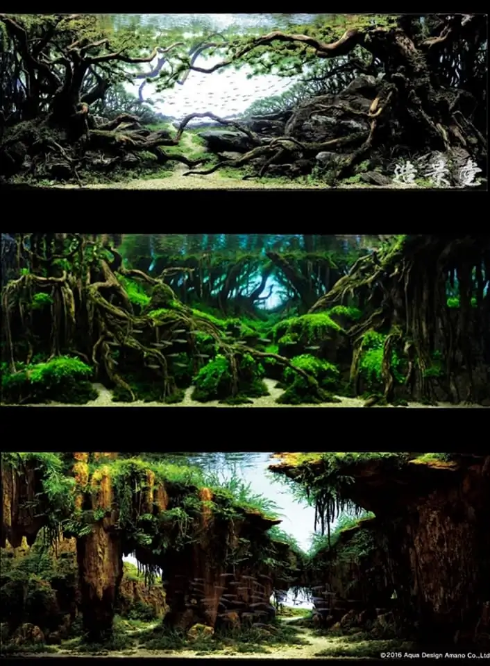 Introduction about Japan Aquascaping Introduction about Japan Aquascaping